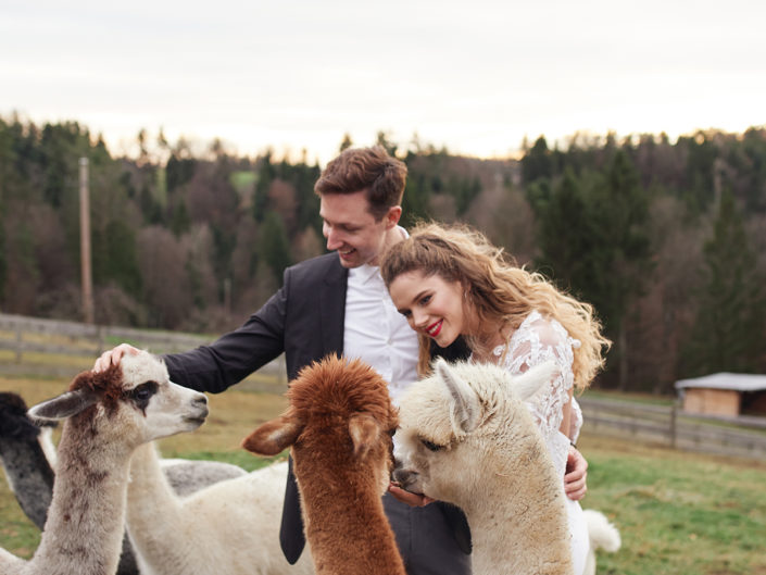 Die Hochzeit mit Alpakas
